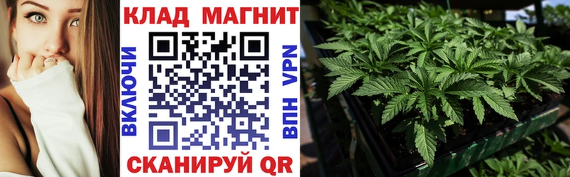 Наркота Воронеж ТГК ГАШИШ Марихуана Cocaine Alpha-PVP