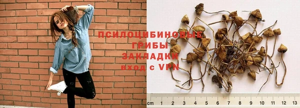 а пвп мука Абаза